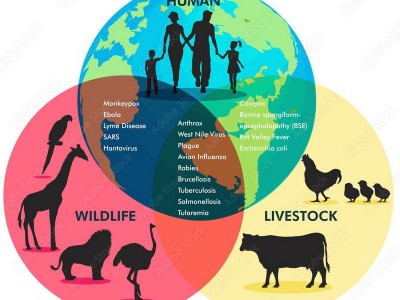 روز جهانی مبارزه با بیماری های مشترک انسان و دام (زئونوز) | World Zoonosis Day